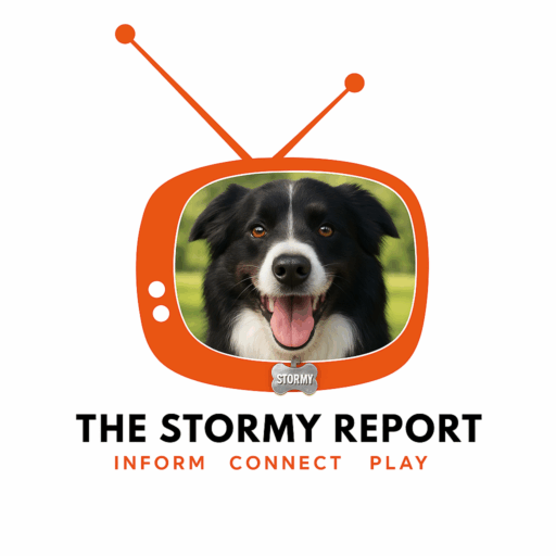 The Stormy Report 